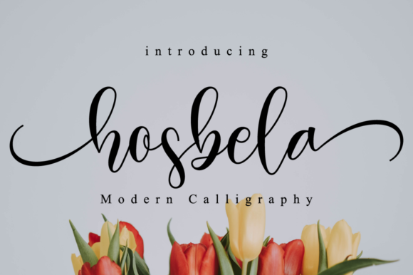 Hosbela Script Font: A Marketer’s Design Review