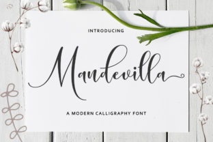 Mandevilla Script Font for Web Design