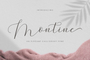 Montine Script Font: A Web Designer’s Layout Test
