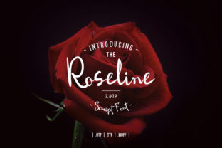 Roseline Script Font: Authentic Handwritten Style for Campaigns