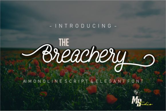 Testing The Breachery Script Font for Brand Identity